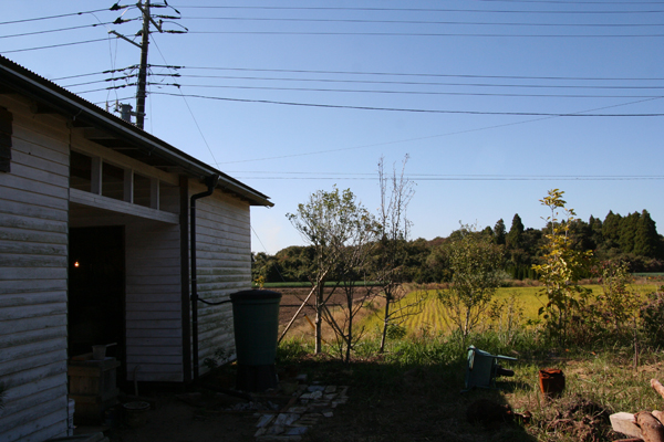 d0100095_1153345.jpg