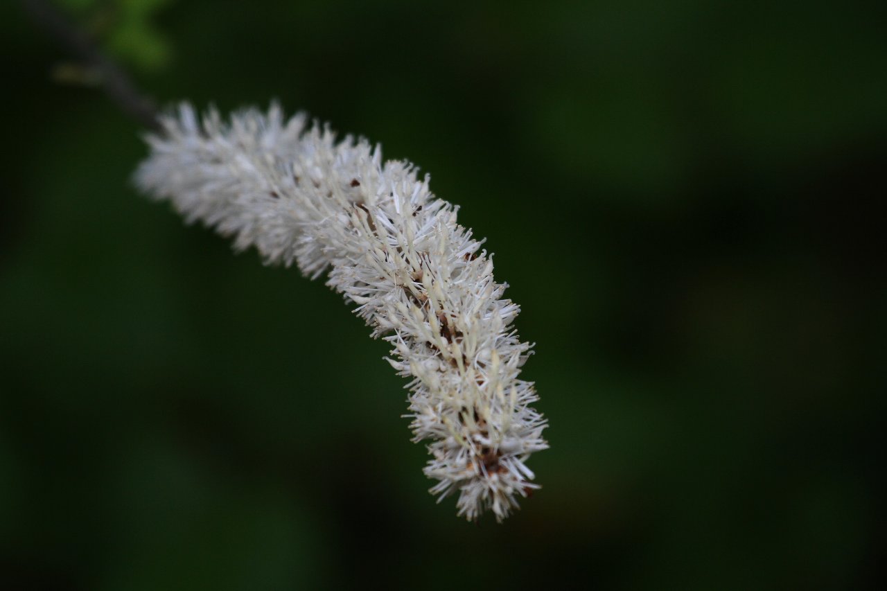 e0167295_16173117.jpg