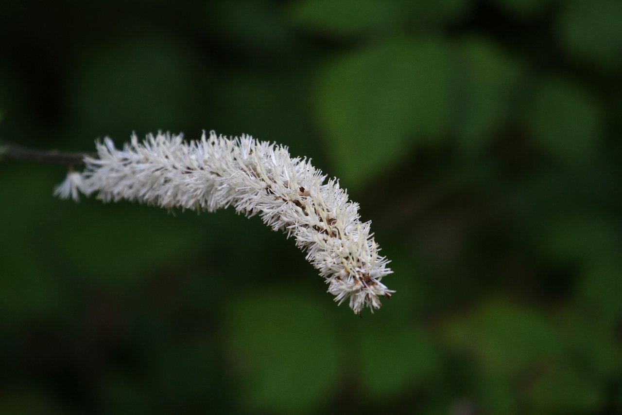 e0167295_1617558.jpg