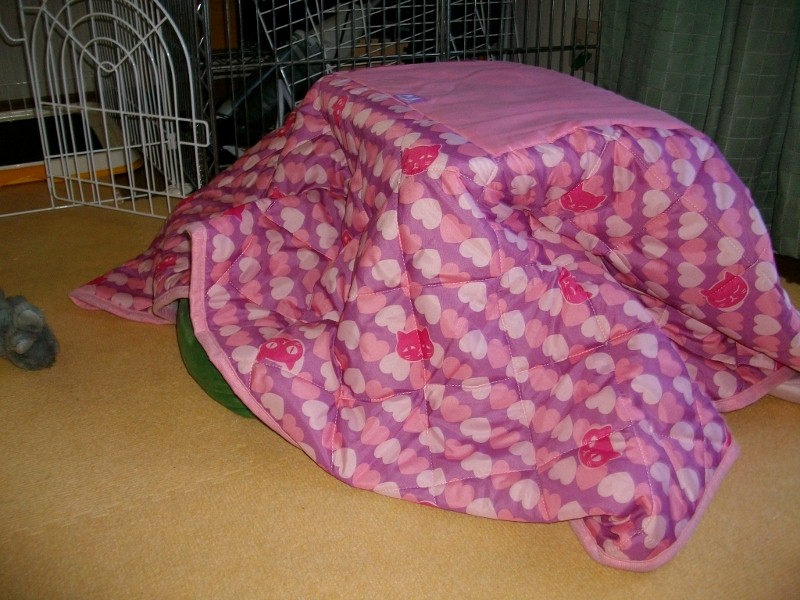 ＫＯＴＡＴＳＵ_a0284997_10134580.jpg