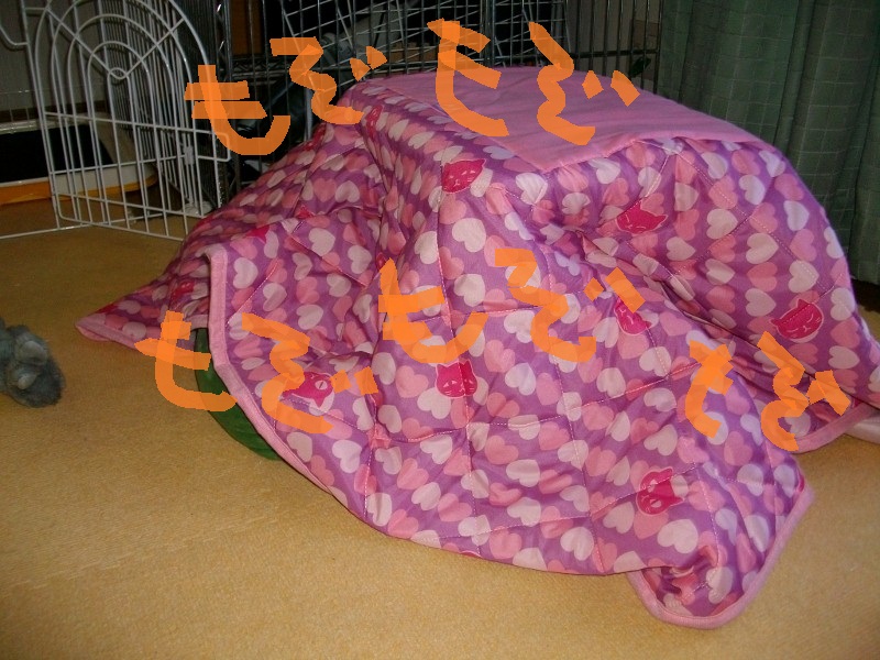 ＫＯＴＡＴＳＵ_a0284997_10272758.jpg