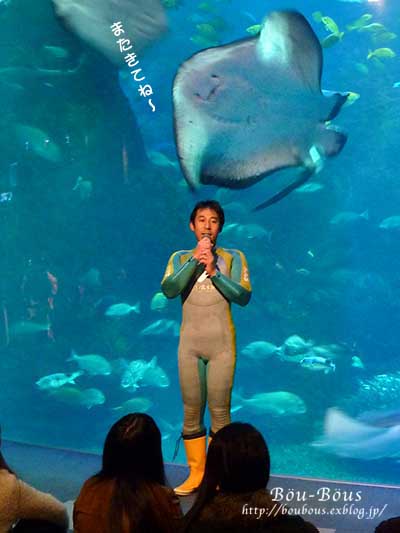 新江ノ島水族館その2_d0128697_1251163.jpg