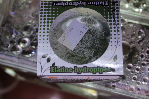 e0219497_21463323.jpg