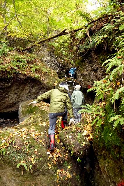 e0137200_20084.jpg
