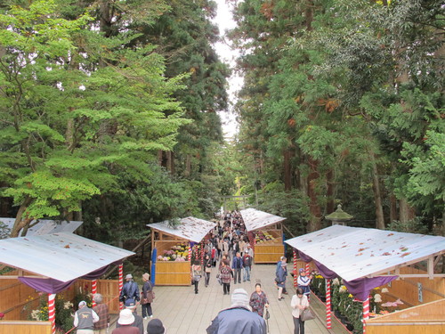 弥彦神社に参拝（２）_c0075701_23534729.jpg