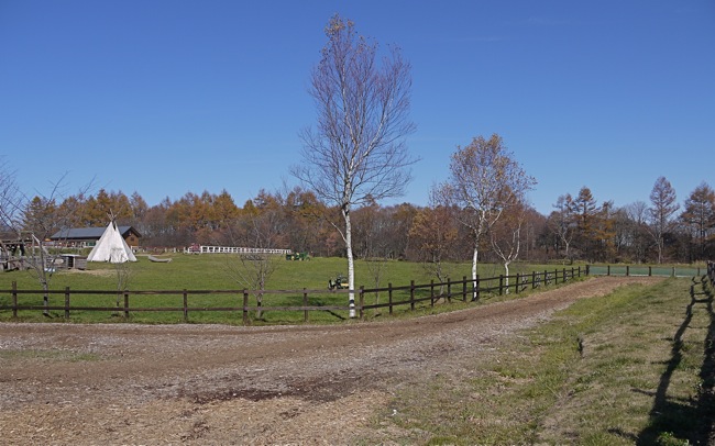 e0163202_19585267.jpg