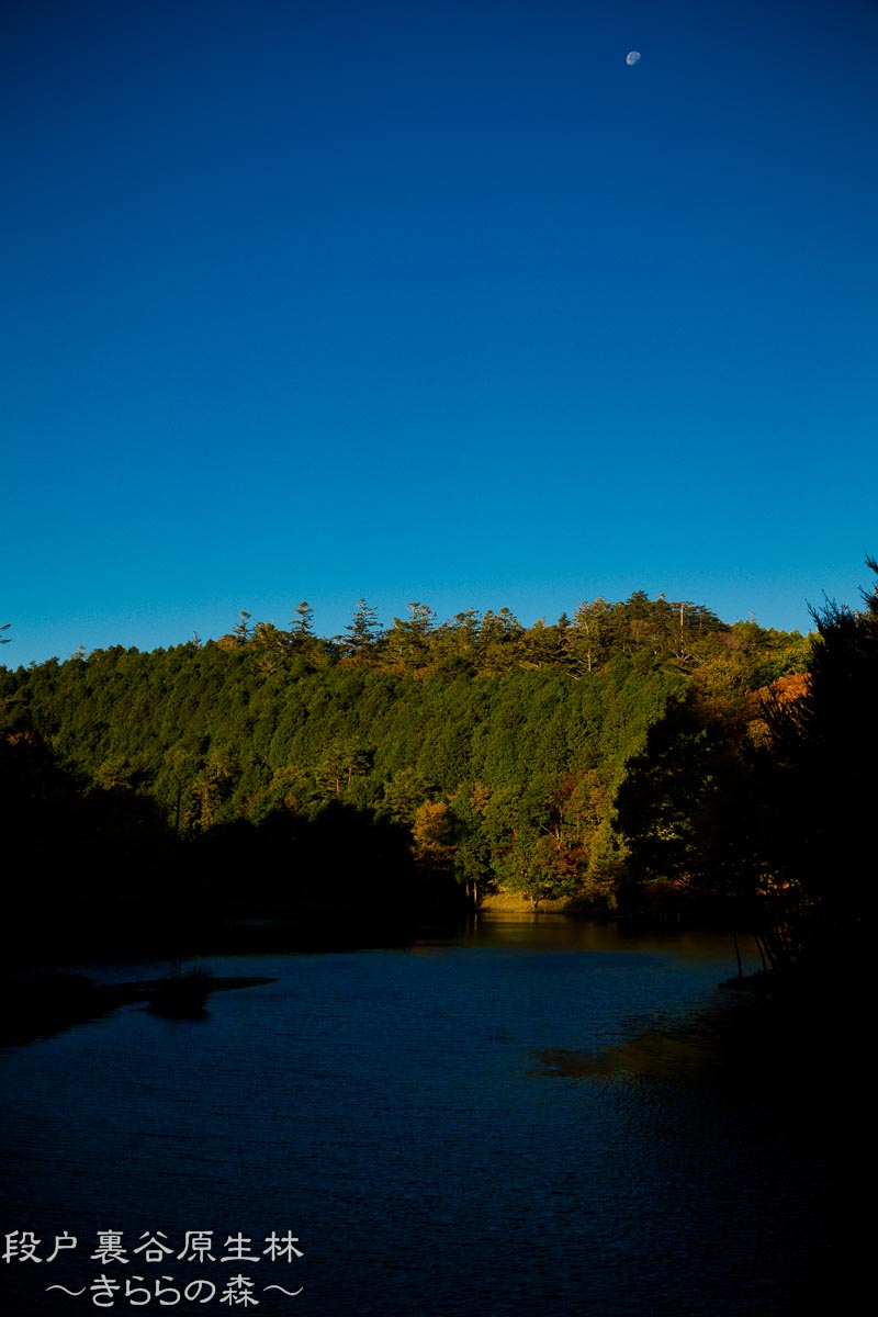 f0220502_2074630.jpg