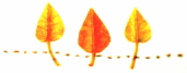 a0123003_1347505.jpg