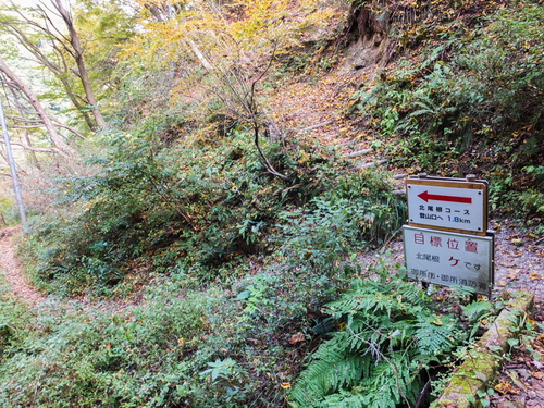 c0043403_21291686.jpg