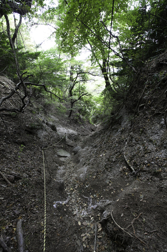c0043403_21304720.jpg