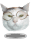 e0026704_11264767.gif