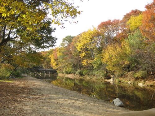 e0058804_22401797.jpg