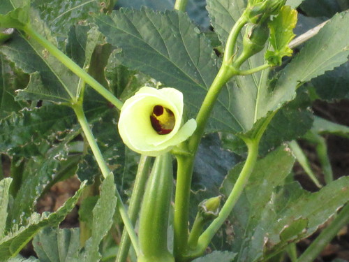 b0277505_21355832.jpg