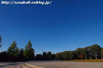 e0145805_17483640.jpg