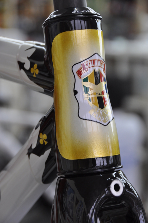 2013M　C59ゴージャスカラー_b0246207_1971634.jpg