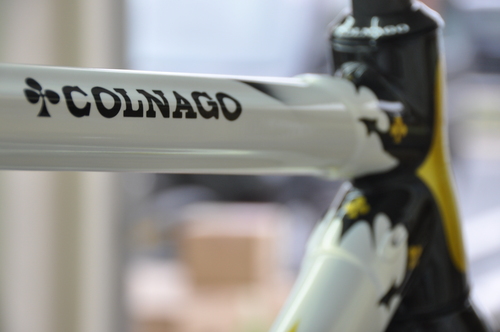 2013M　C59ゴージャスカラー_b0246207_1982281.jpg