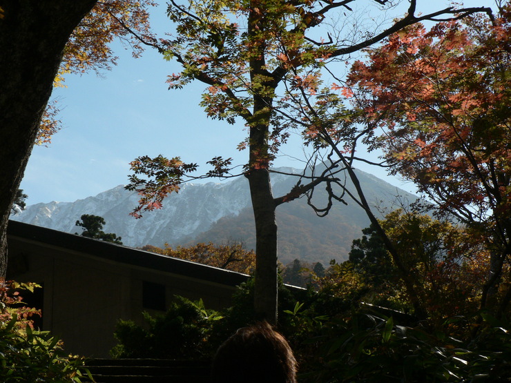 f0219710_13353871.jpg