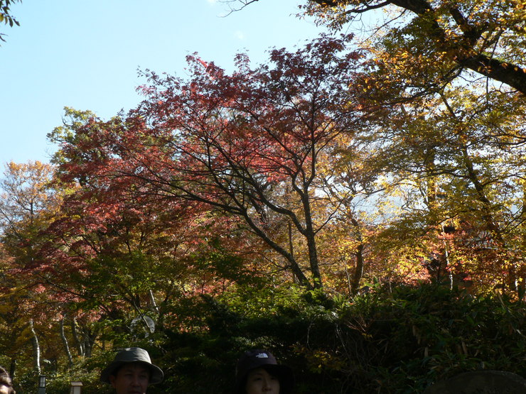 f0219710_1335720.jpg