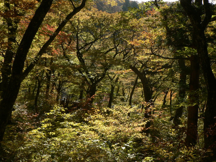 f0219710_13383015.jpg