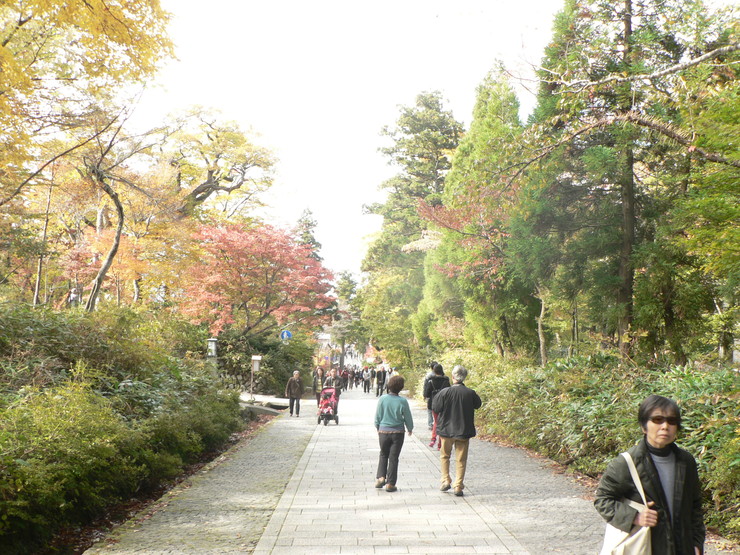 f0219710_134140100.jpg