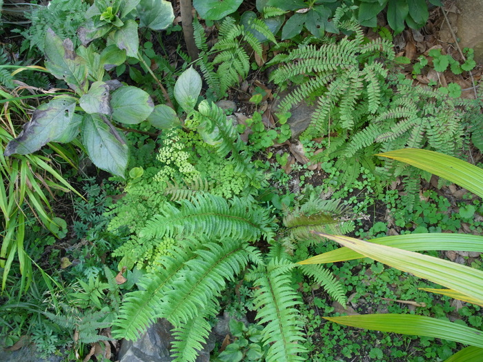e0276411_021454.jpg
