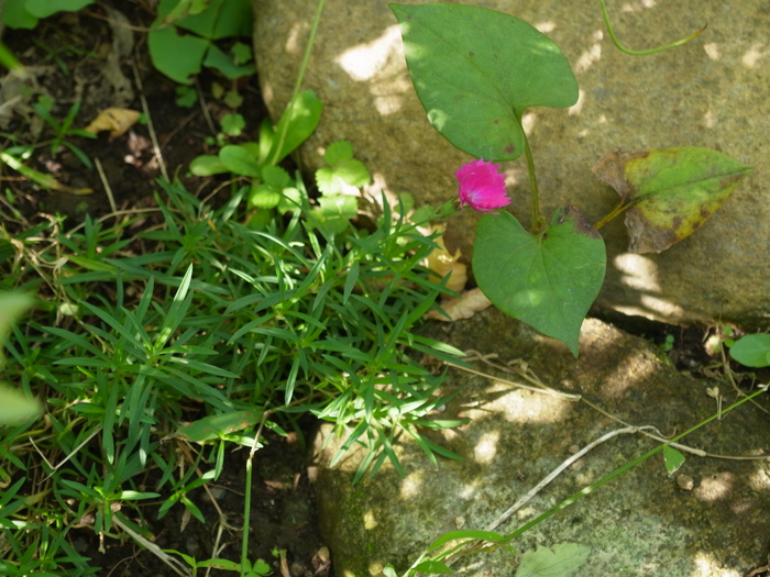 e0276411_0224317.jpg