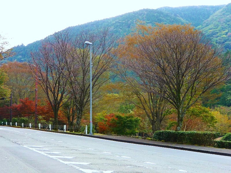 f0182513_1829486.jpg