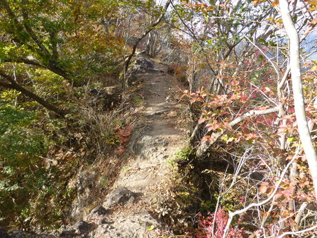 f0033314_1632631.jpg