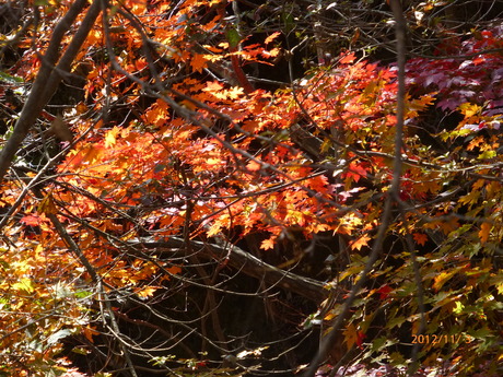 f0033314_1635016.jpg