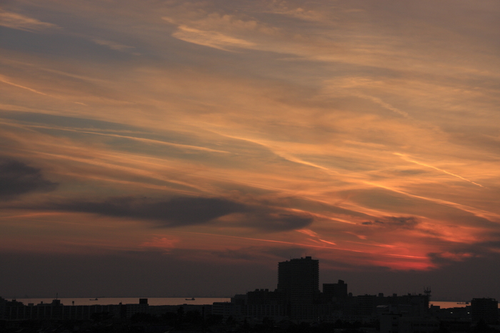 飛行機雲（人工雲）_b0268615_8575949.jpg