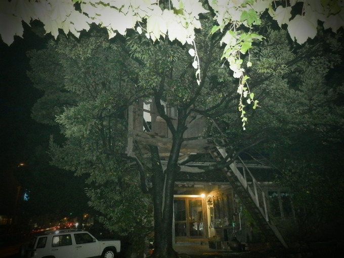 2012「原っぱマルシェ秋」&「HARVEST MARKET」のダブル「出店」DAY★_a0125419_853250.jpg