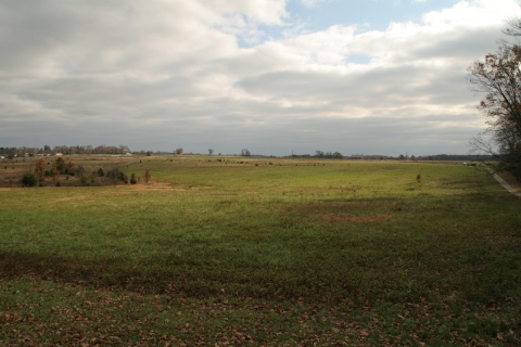 a0097322_881411.jpg