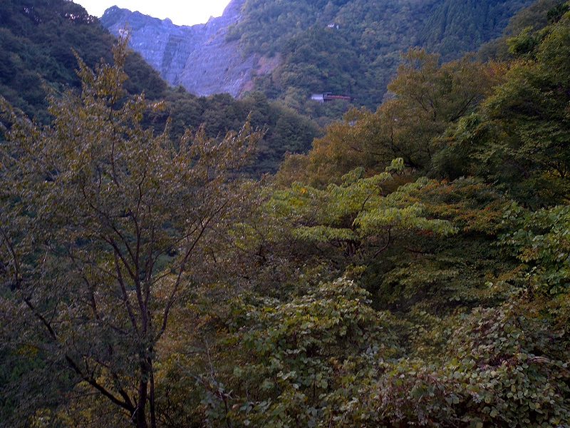 d0082324_1424443.jpg