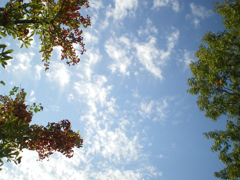 e0128024_1043770.jpg