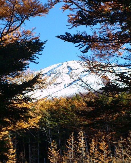 e0275929_21534234.jpg