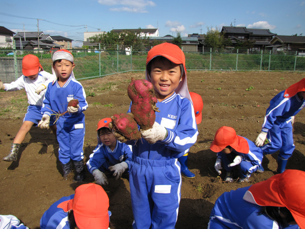 いも掘りの様子（年長編）_c0157030_11331180.jpg