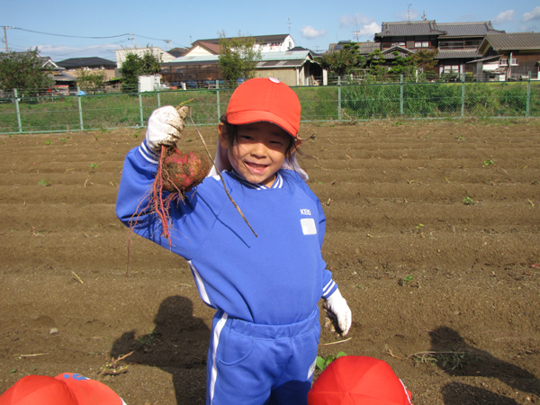 いも掘りの様子（年長編）_c0157030_11334792.jpg