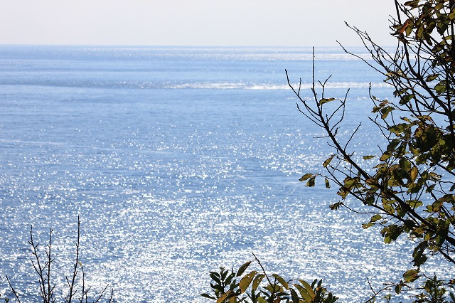 a0045932_21331682.jpg