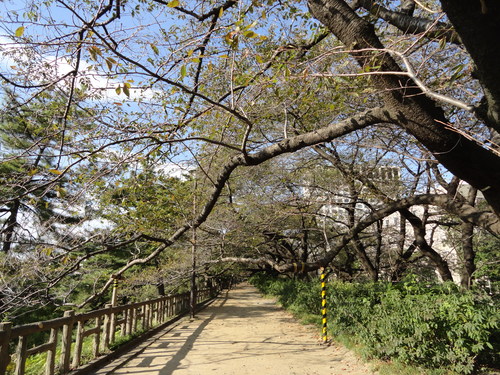 迎賓館　前庭公開と学園祭_f0238932_11445196.jpg