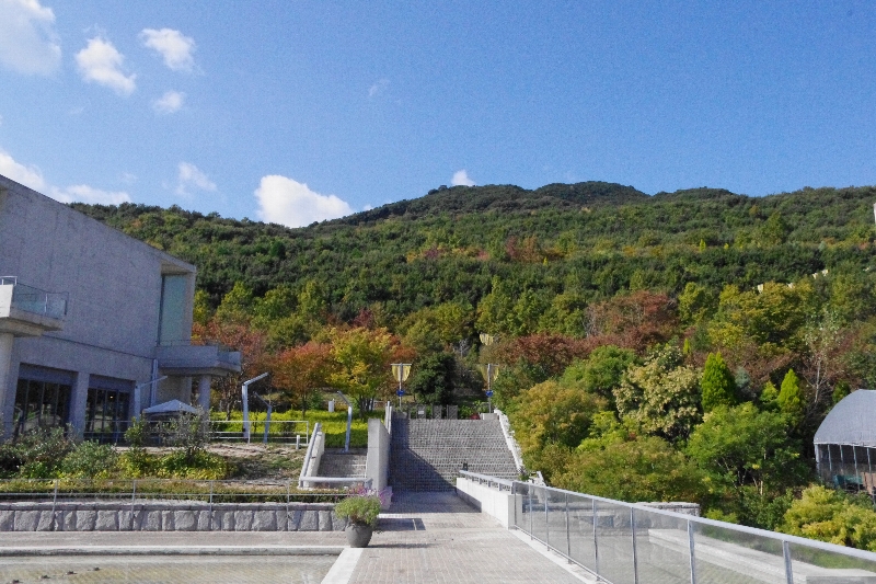 c0113733_22384921.jpg