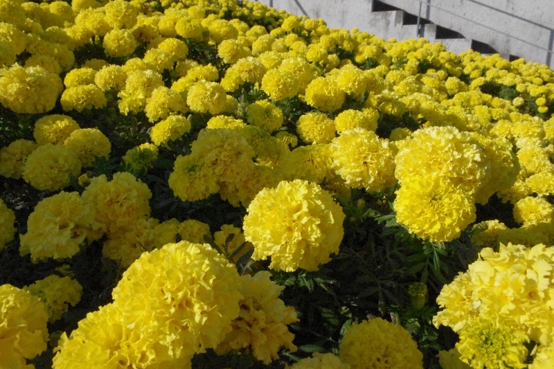 c0113733_2246173.jpg