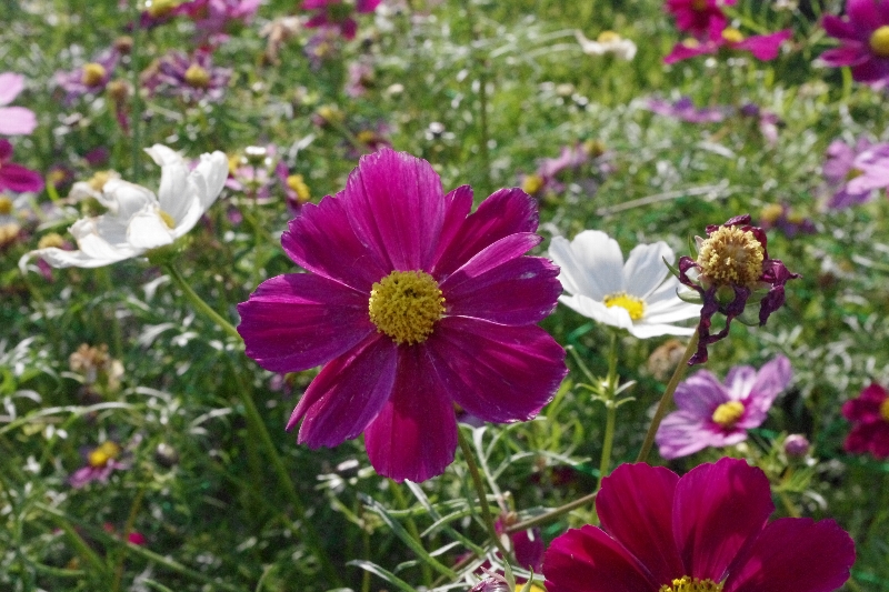 c0113733_224673.jpg