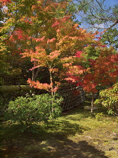 紅葉2012～光悦寺～_e0080133_2331371.jpg