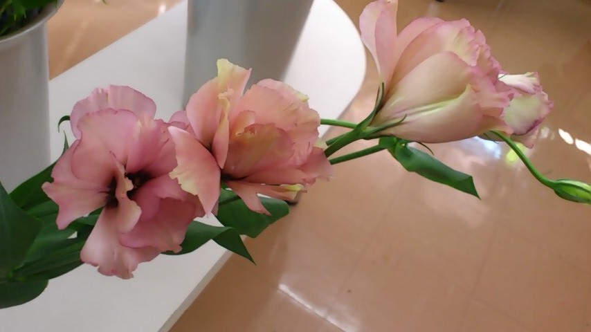 d0252434_21391865.jpg