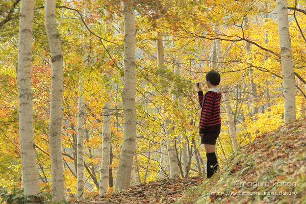 ワタシは何度も恋をする①♪　in 牛曵山・白樺林_b0197639_14161974.jpg