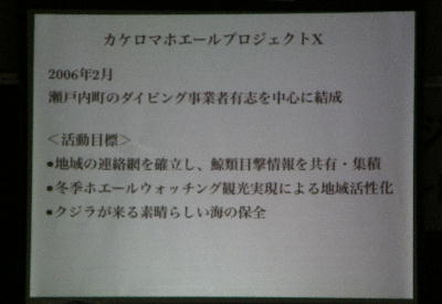 シンポジウム奄美のイルカ・クジラ2012_f0062839_21492848.jpg