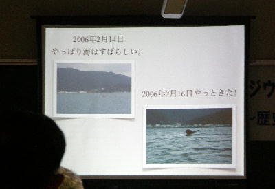 シンポジウム奄美のイルカ・クジラ2012_f0062839_2242487.jpg