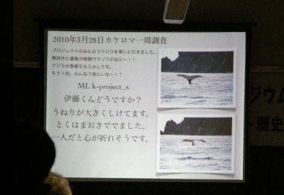 シンポジウム奄美のイルカ・クジラ2012_f0062839_2281137.jpg