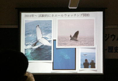 シンポジウム奄美のイルカ・クジラ2012_f0062839_22951.jpg