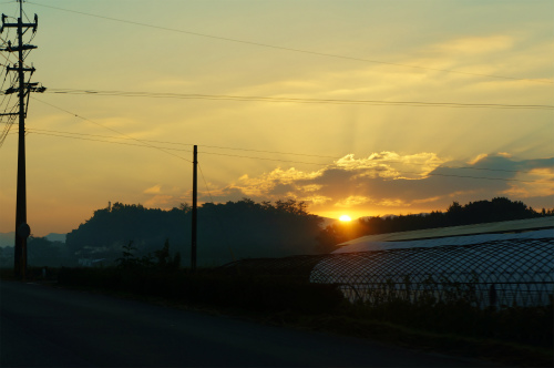a0135840_857414.jpg